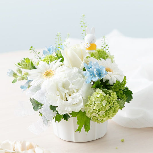 【直送商品A】ミッフィーと淡いときめき